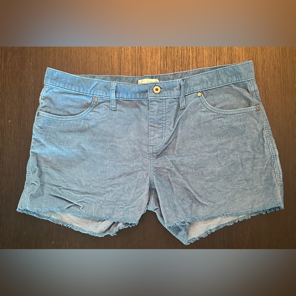Carve Designs Blue Jean Shorts